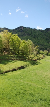 Serra del Corb